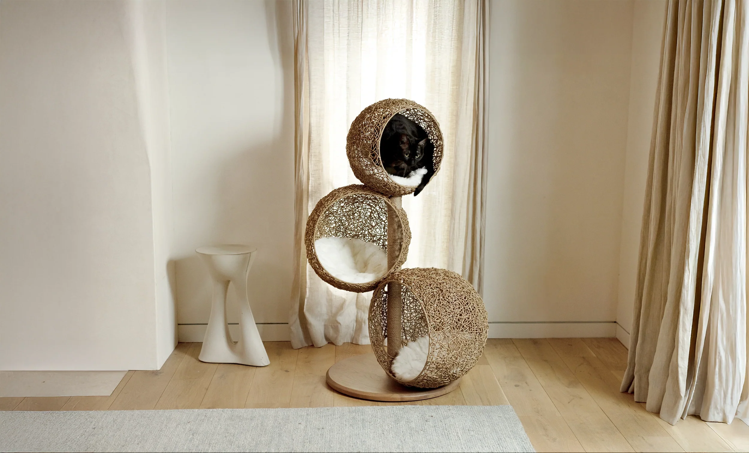 Luxury Furniture for Modern Cats